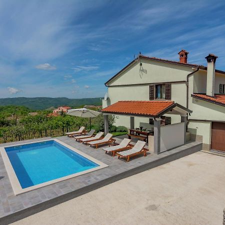 Spacious Apartment In Pazin With Pool Cerovlje Екстер'єр фото